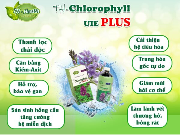 Diệp lục thải độc và bảo vệ sức khỏe TH- Chlorophyll UIE PLUS